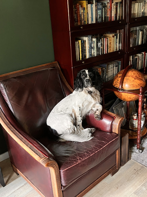 Monty in armchair