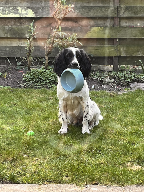 Monty with his bowl